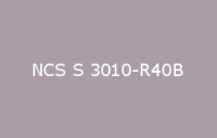 BELUSIL 010 Silikon NCS S 3010 R40B