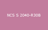 BELUSIL 010 Silikon NCS S 2040 R30B