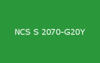 BELUSIL 010 Silikon NCS S 2070 G20Y