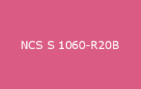 BELUSIL 010 Silikon NCS S 1060 R20B