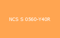 BELUSIL 010 Silikon NCS S 0560 Y40R