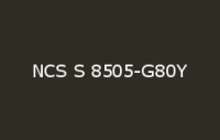 BELUSIL 010 Silikon NCS S 8505 G80Y