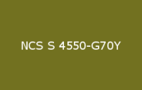 BELUSIL 010 Silikon NCS S 4550 G70Y