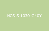 BELUSIL 010 Silikon NCS S 1030 G40Y