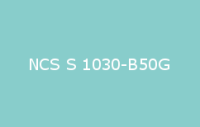 BELUSIL 010 Silikon NCS S 1030 B50G