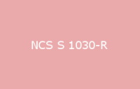 BELUSIL 010 Silikon NCS S 1030 R