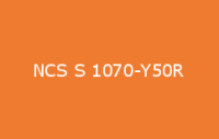 BELUSIL 010 Silikon NCS S 1070 Y50R