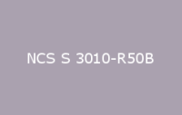 BELUSIL 010 Silikon NCS S 3010 R50B