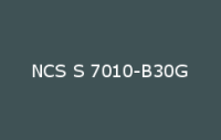 BELUSIL 010 Silikon NCS S 7010 B30G