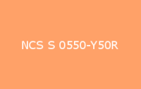 BELUSIL 010 Silikon NCS S 0550 Y50R