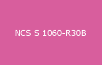 BELUSIL 010 Silikon NCS S 1060 R30B