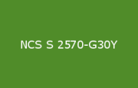 BELUSIL 010 Silikon NCS S 2570 G30Y