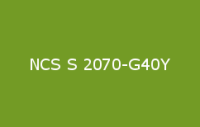 BELUSIL 010 Silikon NCS S 2070 G40Y