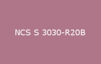 BELUSIL 010 Silikon NCS S 3030 R20B