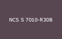 BELUSIL 010 Silikon NCS S 7010 R30B