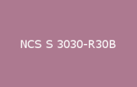 BELUSIL 010 Silikon NCS S 3030 R30B