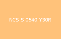 BELUSIL 010 Silikon NCS S 0540 Y30R